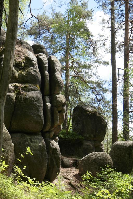 Goldberghaus Lejlighed Großschönau Eksteriør billede
